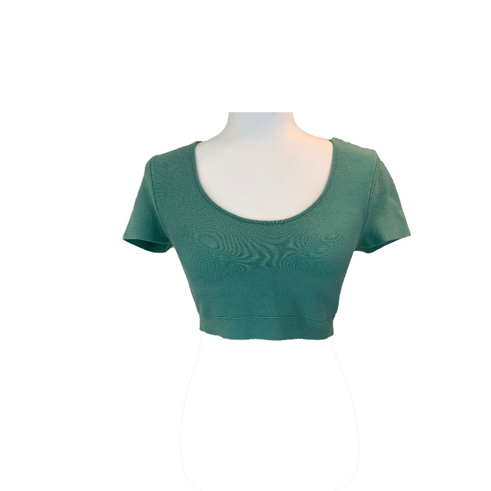 BCBGMaxAzria Teal Crop Top